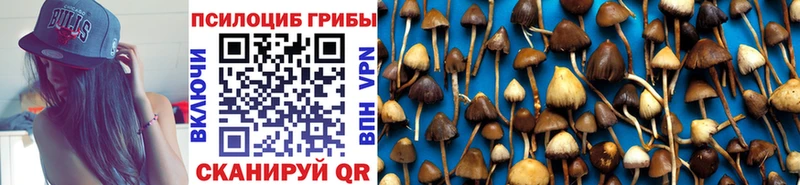 Купить  Жуковка  Галлюциногенные грибы GOLDEN TEACHER 